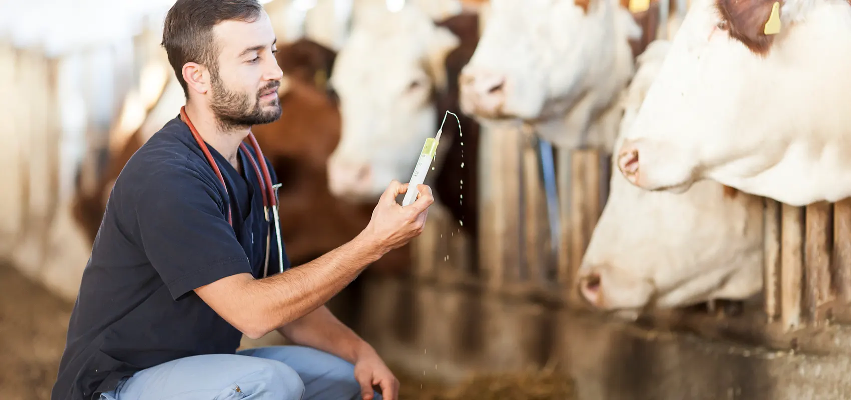 Hva er dyrehold veterinærfag?