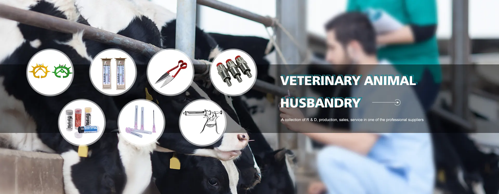 Leverandører av veterinærverktøy